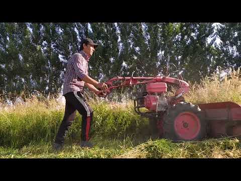 Видео: Мотокультиватор каселка иш жараёнида..Мотоблок с жатка как насторить Каселка REAPER китайский..