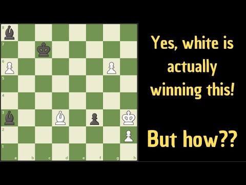 Видео: Ход белых, как они могут выиграть?