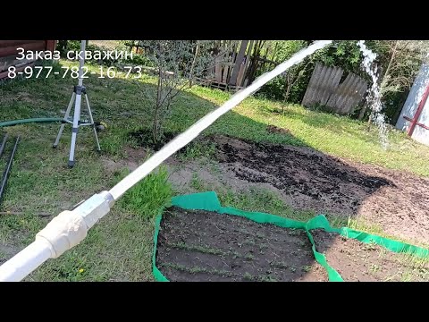 Видео: Меняем глубинку на коротыш абиссинку. Р-он Митянино.