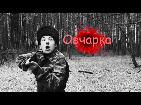 Видео: "Глухие" Первый день из жизни Овчарка