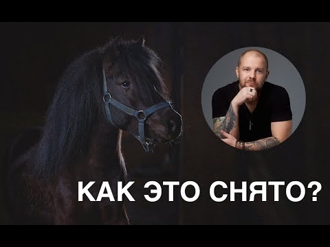 Видео: Как это снято и обработано? Снимаем лошадей!