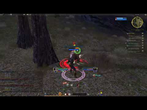 Видео: Чилл-прохождение The Lord of the Rings Online #8 \ MMORPG