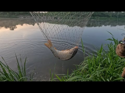 Видео: Дон с ночёвкой!