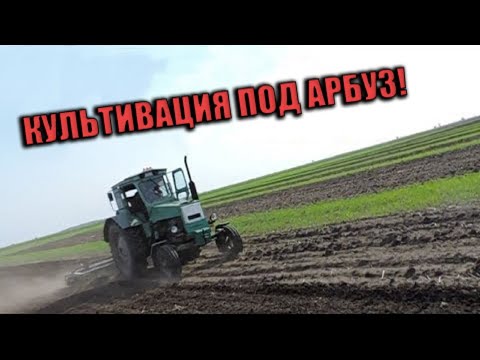 Видео: #3 Обработка почвы для высадки арбуза Талисман Ф-1. Первые всходы 2019