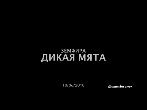 Видео: Земфира -Дикая Мята 2018