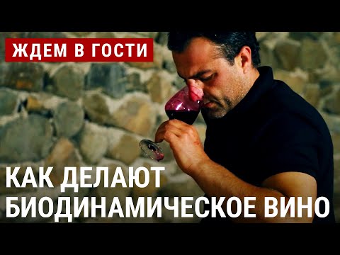 Видео: В гармонии с природой. Как делают биодинамическое вино? | ЖДЁМ В ГОСТИ