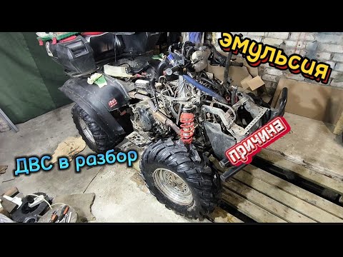 Видео: квадроцикл POLARIS 700 TWIN SPORTSMAN