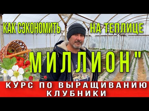 Видео: Как сэкономить миллион на теплице .Курс по выращиванию клубники