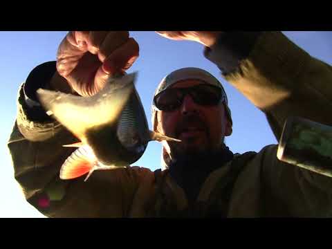 Видео: Один на реке. Куда подует ветер. Речные петли