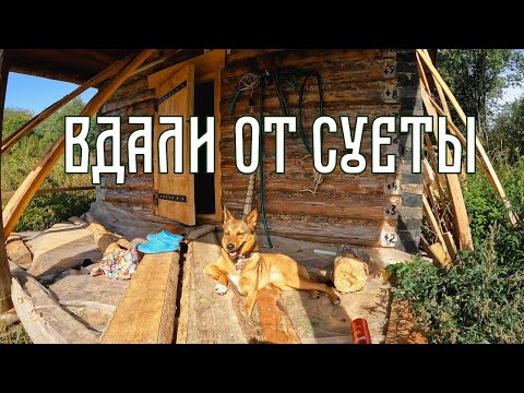 Видео: Вдали от суеты||Дикие соседи||Что мы готовим на природе #2