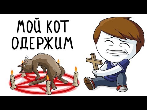 Видео: Мой кот одержим (Анимация)