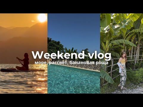 Видео: Банановая роща | Бали или Батуми? 🌴🌊