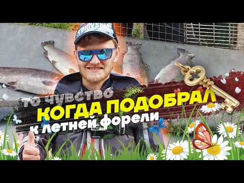 Видео: Как ловить форель летом. Часть 1