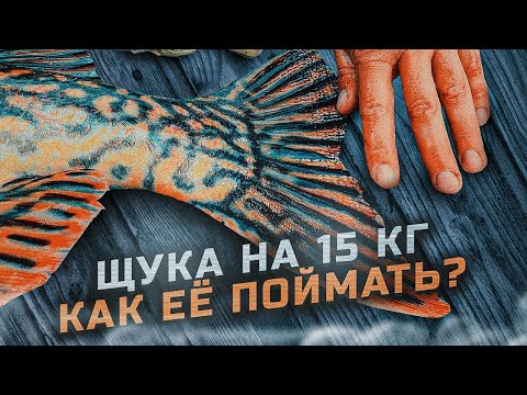 Видео: ЩУКИ-МОНСТРЫ ЗА 15 КГ, как таких поймать? ПАНОПТИКС - нужен ли он в лодке? Main Target Team. 4K