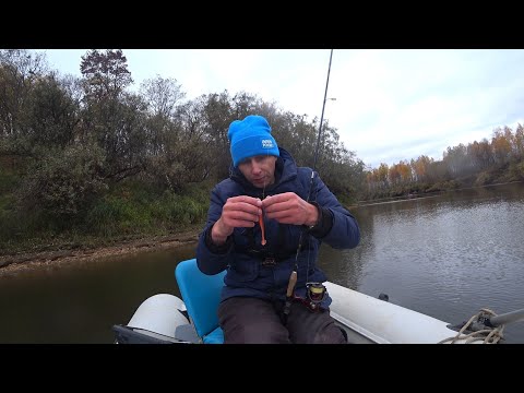 Видео: ПОШЛИ ПЕРВЫЕ ЗАМОРОЗКИ! ЭТА "ДУРА" ВСЁ ПОРВАЛА! 