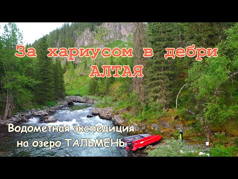 Видео: За хариусом в дебри Алтая/Самая рыбная река/Обнос порога, рыбалка и клев хариуса #2