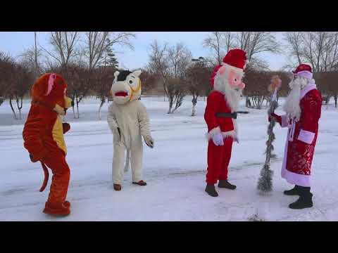 Видео: С новым годом Камысты