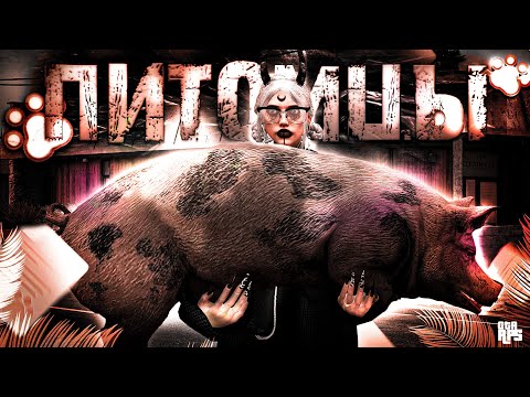 Видео: ОБНОВЛЕНИЕ с ПИТОМЦАМИ на GTA5RP | ДОМАШНИЕ ЖИВОТНЫЕ в ГТА 5 РП
