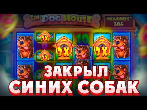 Видео: ОГРОМНЫЕ ПОЛЯНЫ СИНИХ СОБАК В КАЖДОЙ БОНУСКЕ В THE DOG HOUSE MEGAWAYS/ СЛОВИЛ БОНУСКУ ПО СТАВКЕ 500Р