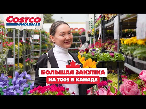 Видео: Что Мы Купили В Костко Для Семьи Из 7 Человек? 🤩 Хватит Надолго 👏