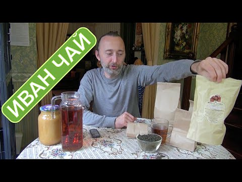 Видео: Иван Чай. Лучший Иван чай особой ферментации. История. Интересный рассказ Фролова Ю.А.