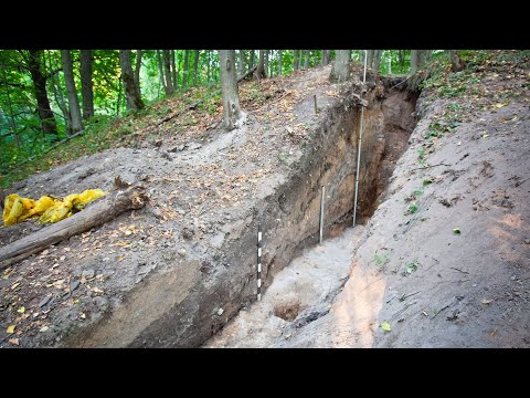 Видео: Часть 2. Лекция «Загадка мощинских валов»