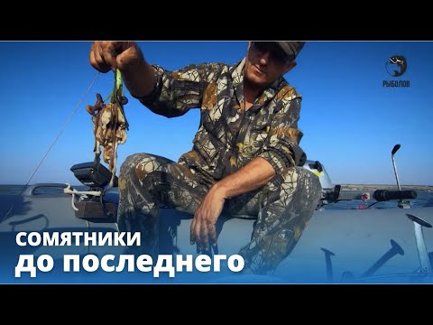 Видео: До последнего // СОМЯТНИКИ // Выпуск 4