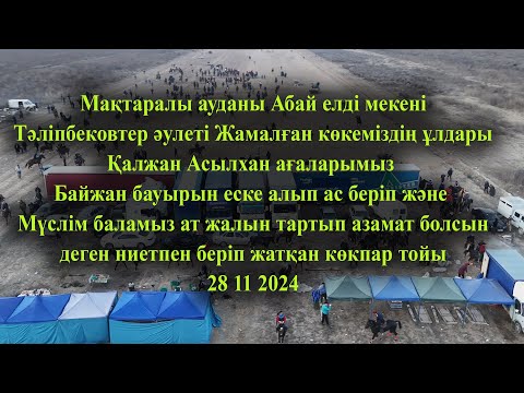 Видео: 28 11 2024 кокпар Мақтаралы(Иличь)Тәліпбековтер Қалжан Асылхан ағаларымыз  беріп жатқан көкпар тойы