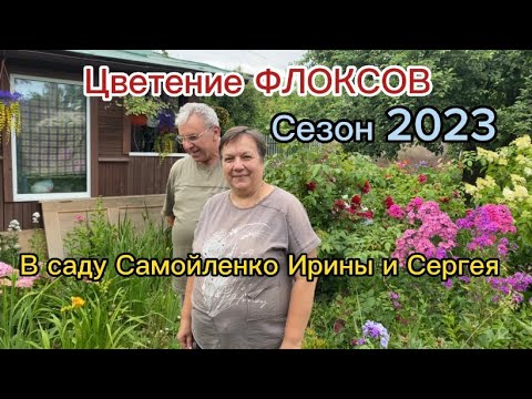Видео: Цветение ФЛОКСОВ. В саду Самойленко Ирины и Сергея. Сезон 2023