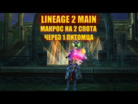 Видео: Макрос на 2 спота через 1 питомца в Lineage 2 Main