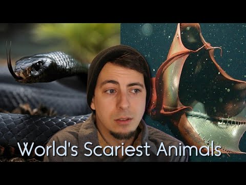 Видео: Мужчина узнал о страшных животных и почувствовал умеренный страх