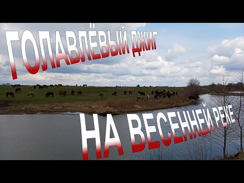 Видео: ГОЛАВЛЬ на ДЖИГ! Как ловить?/Голавль ВЕСНА