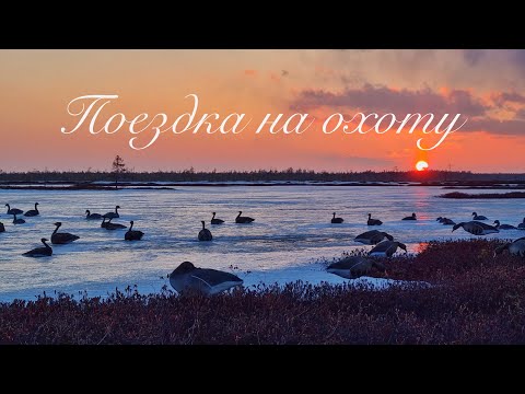 Видео: На охоту, за тысячу верст. Север Республики Коми. (Уважаемые комментаторы, читайте описание к видео)