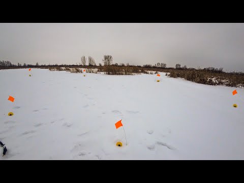 Видео: Оставил жерлицы и ушел домой.Такого результата я не ожидал!Жерлицы 2020-21.