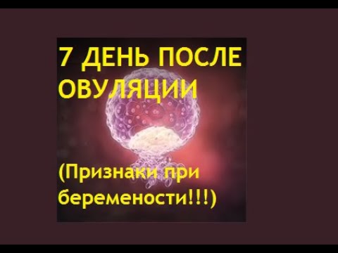 Видео: 👶7 ДПО. 💥Ощущения на 7 день после овуляции при беременности. Что происходит с зародышем. Имплантация