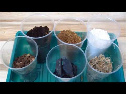 Видео: Какой нужен грунт и горшок для антуриума