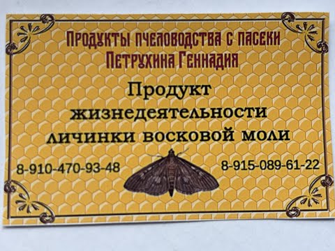Видео: Разведение Восковой моли - ПЖЛВМ от всех проблем