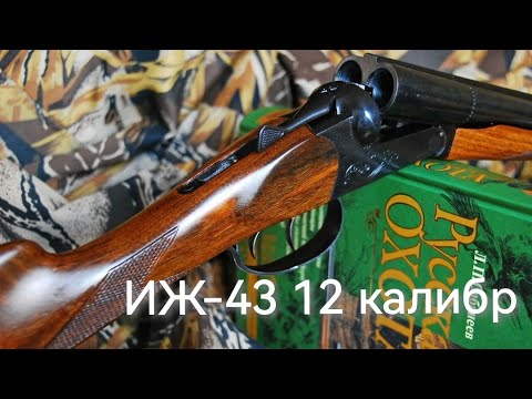 Видео: ИЖ-43 Ружье для охоты и не только.