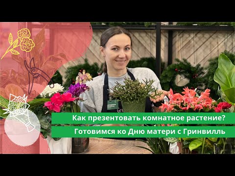 Видео: Как презентовать комнатные растения? готовимся ко Дню матери с Гринвилль