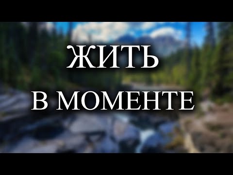 Видео: Перестаньте думать и все наладится само