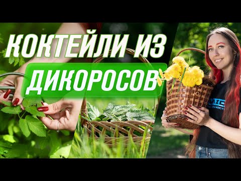 Видео: Не спешите избавляться от сорняков! 5 рецептов ЗЕЛЕНЫХ ДЕТОКС КОКТЕЙЛЕЙ из диких трав в блендере