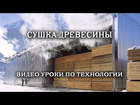 Видео: Фрагмент ВИДЕО УРОКА - Сушка древесины.