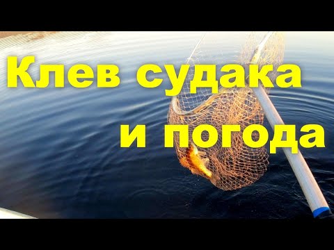 Видео: Троллинг. Зависимость клева ладожского, верхового судака от погоды