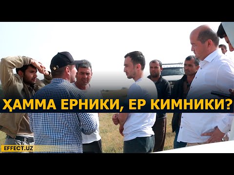 Видео: СУРХОНДАРЁДАН ГАПИРАМИЗ: ДЕНОВДА КЛАСТЕР ЧОРВАДОРЛАРГА ЙЎЛ БЕРМАЯПТИ... – EFFECT.UZ