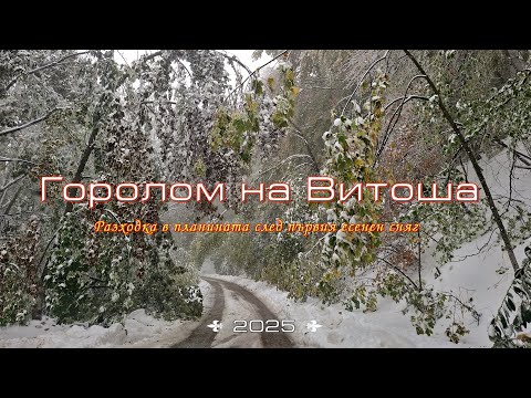 Видео: Що е то Горолом във Витоша планина
