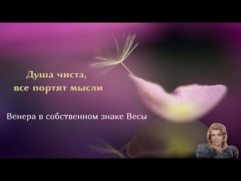 Видео: Венера в ноябре 2025 года. Прогноз