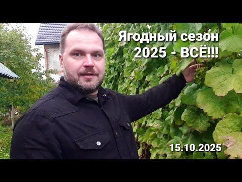 Видео: Сезон ягод винограда 2025 окончен!
