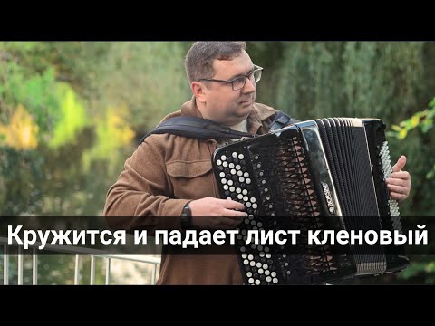 Видео: Кружится и падает лист кленовый - играет баян, инструментальная музыка. #accordionmusic