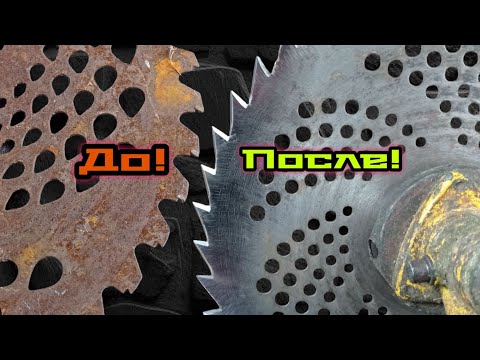 Видео: НЕ ВЫБРАСЫВАЙ СТАРЫЙ ДИСК БЕНЗОКОСЫ! ЕГО ХВАТИТ НА 100 ЛЕТ#бензокоса #бензотриммер
