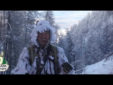 Видео: Кыымаан булчуттара - Выпуск 03